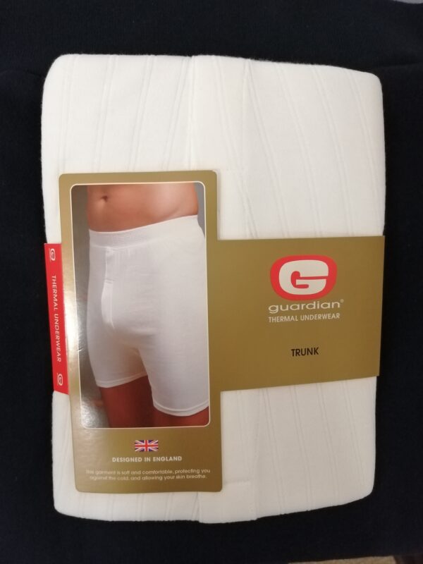 Guardian Thermal Trunk